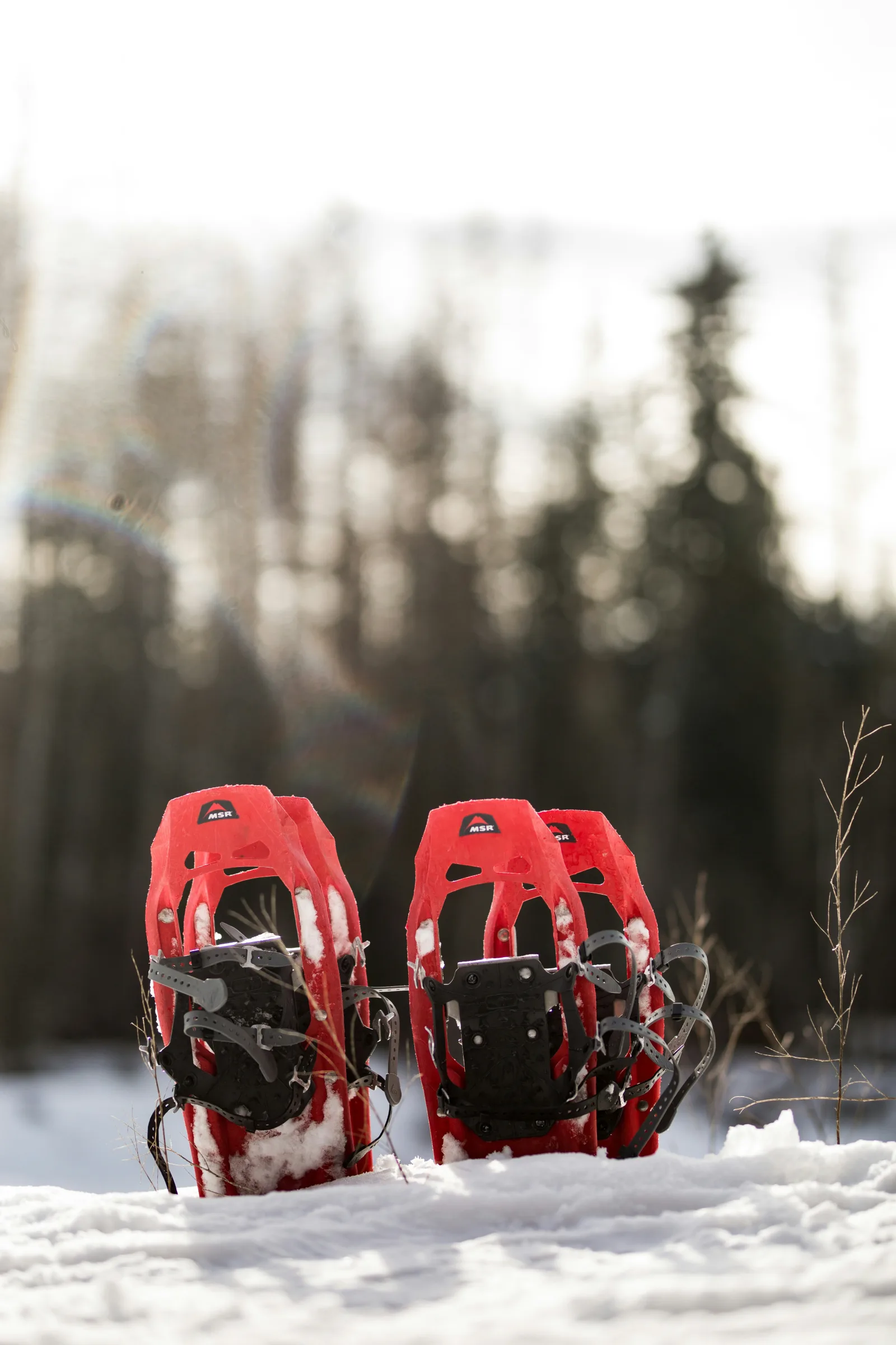 Skiers on a school trip