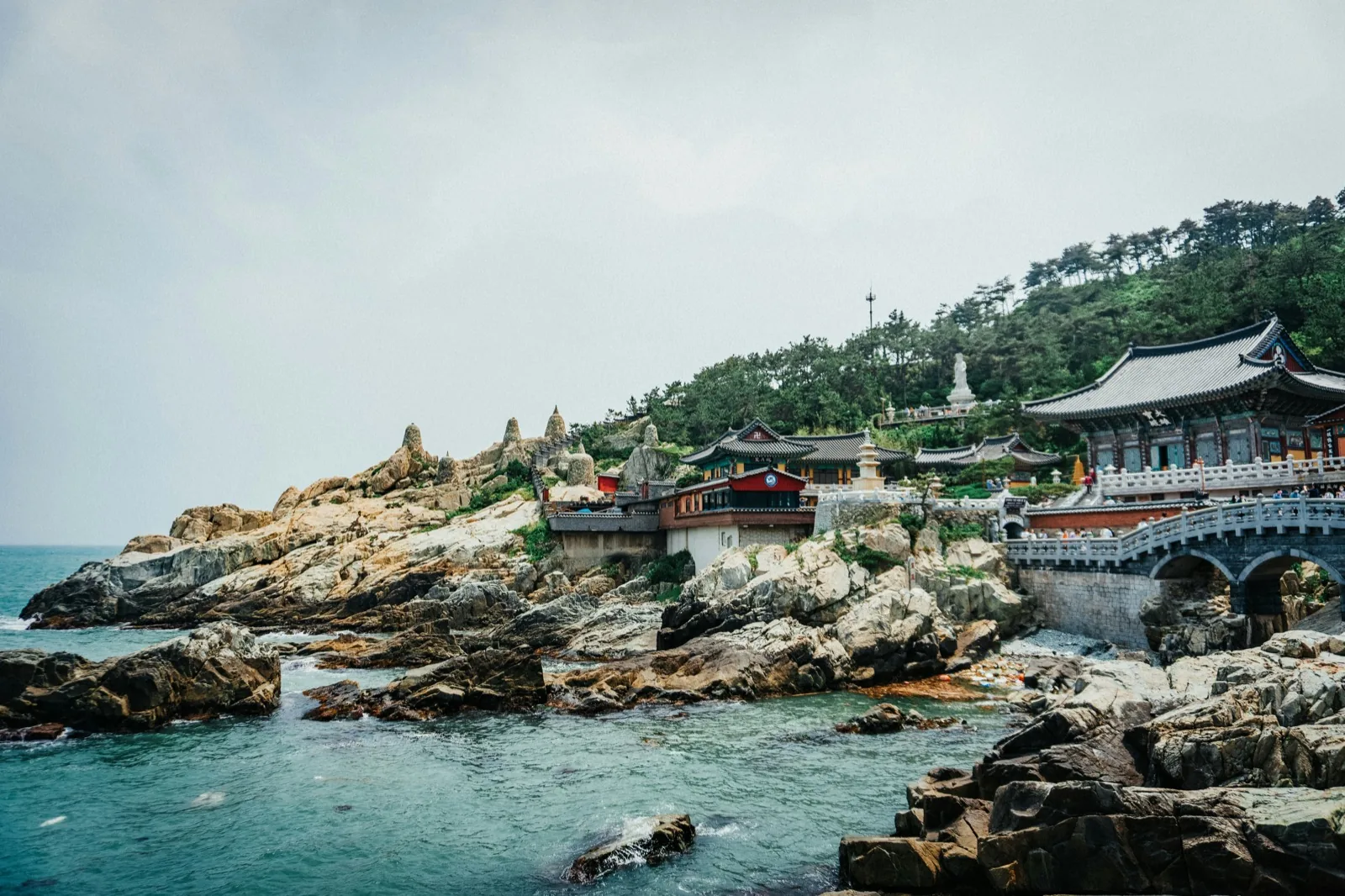 Language stay in Busan, South Korea