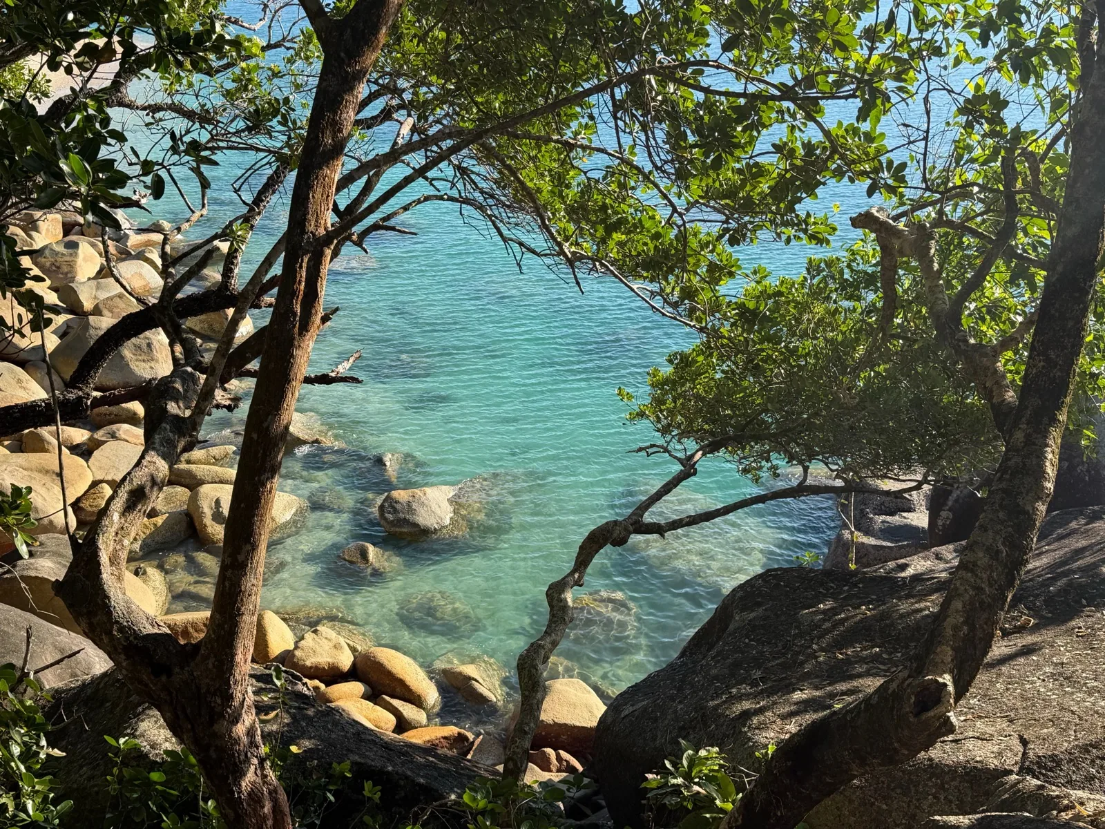 Language stay in Cairns, Australia