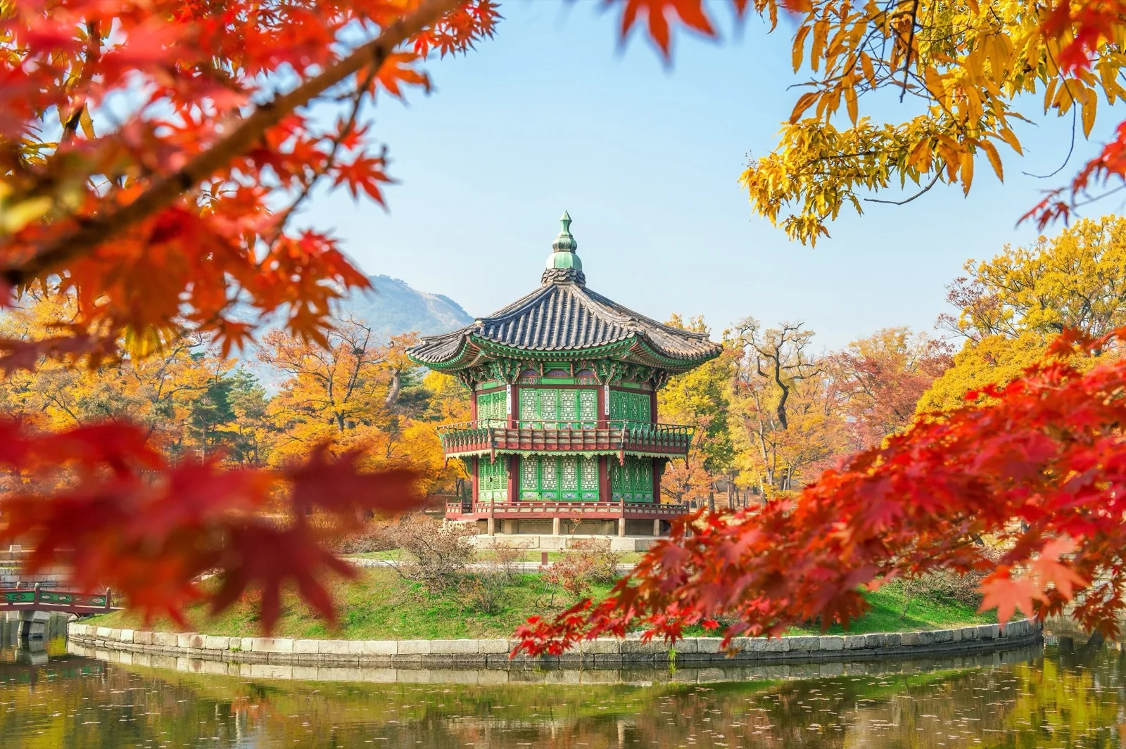 Language stay in Seoul, South Korea