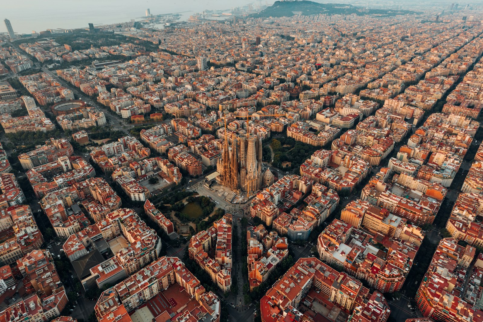 Sunlit Barcelona street with Mediterranean architecture and palm trees
