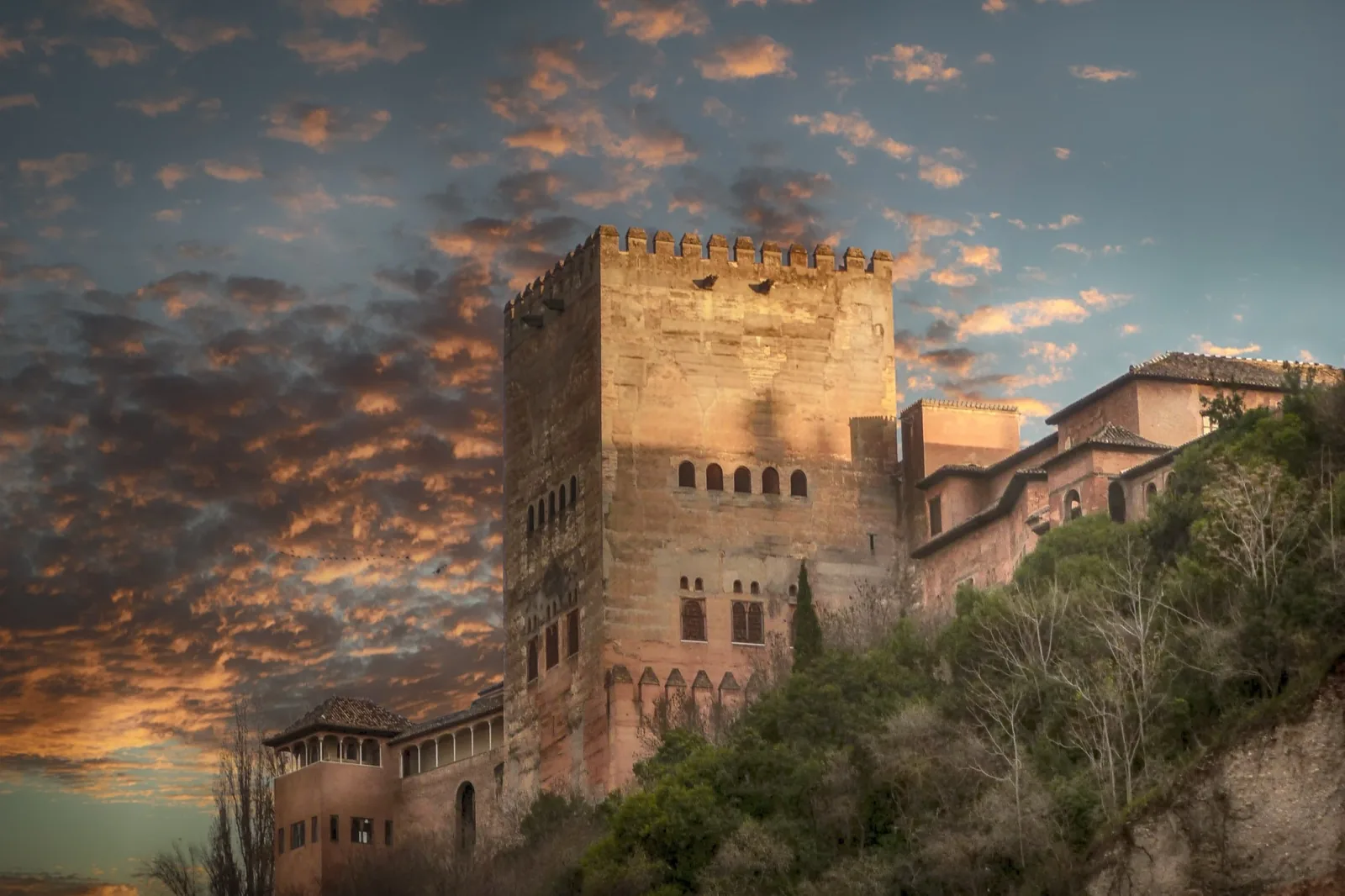 View of the Alhambra from the Albaicín during a language stay in Granada