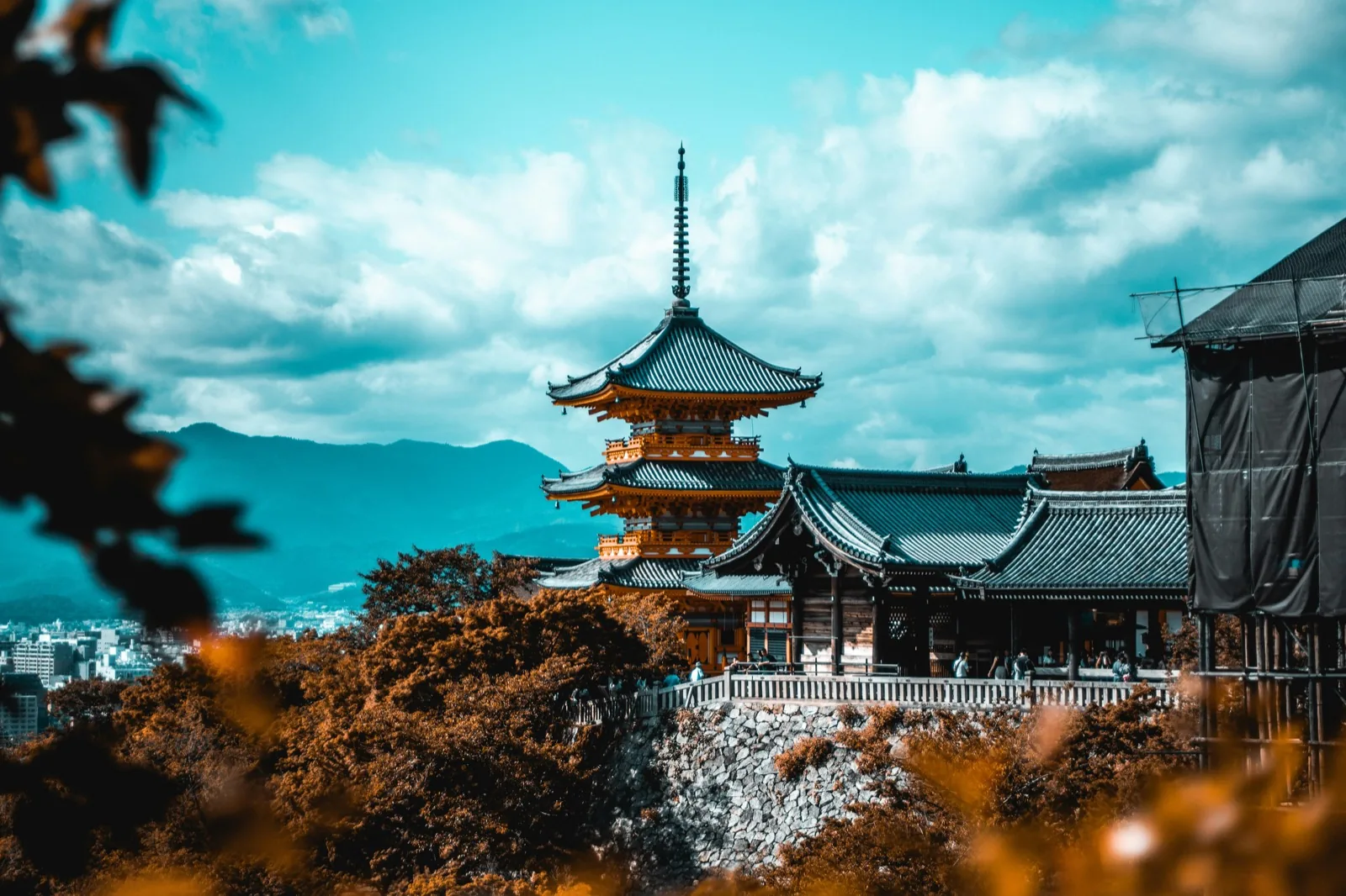 Vermilion torii gates at Fushimi Inari during a language stay in Kyoto, Japan