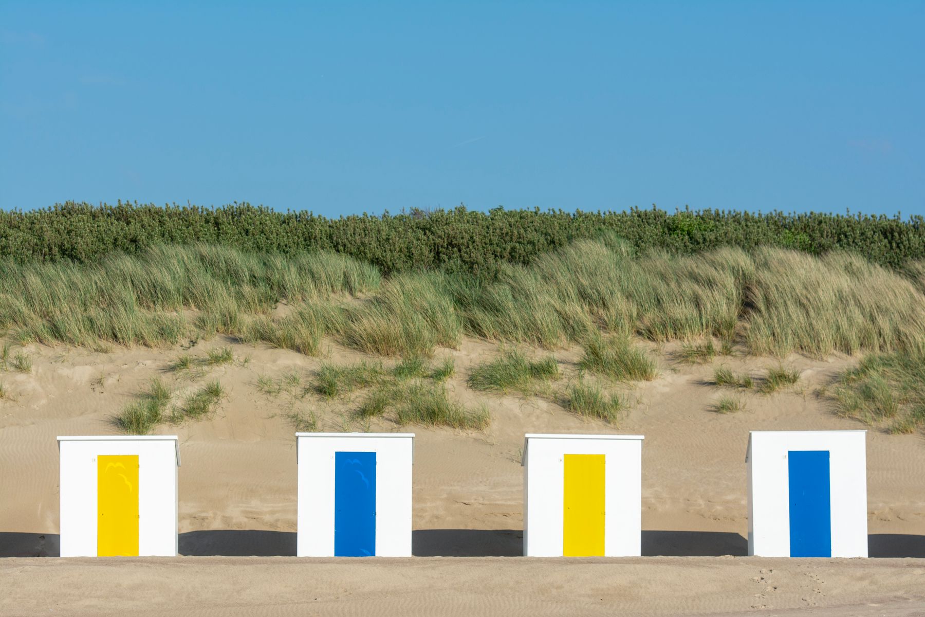 School trip to Cadzand Dutch coast with beach activities and Zwin nature reserve