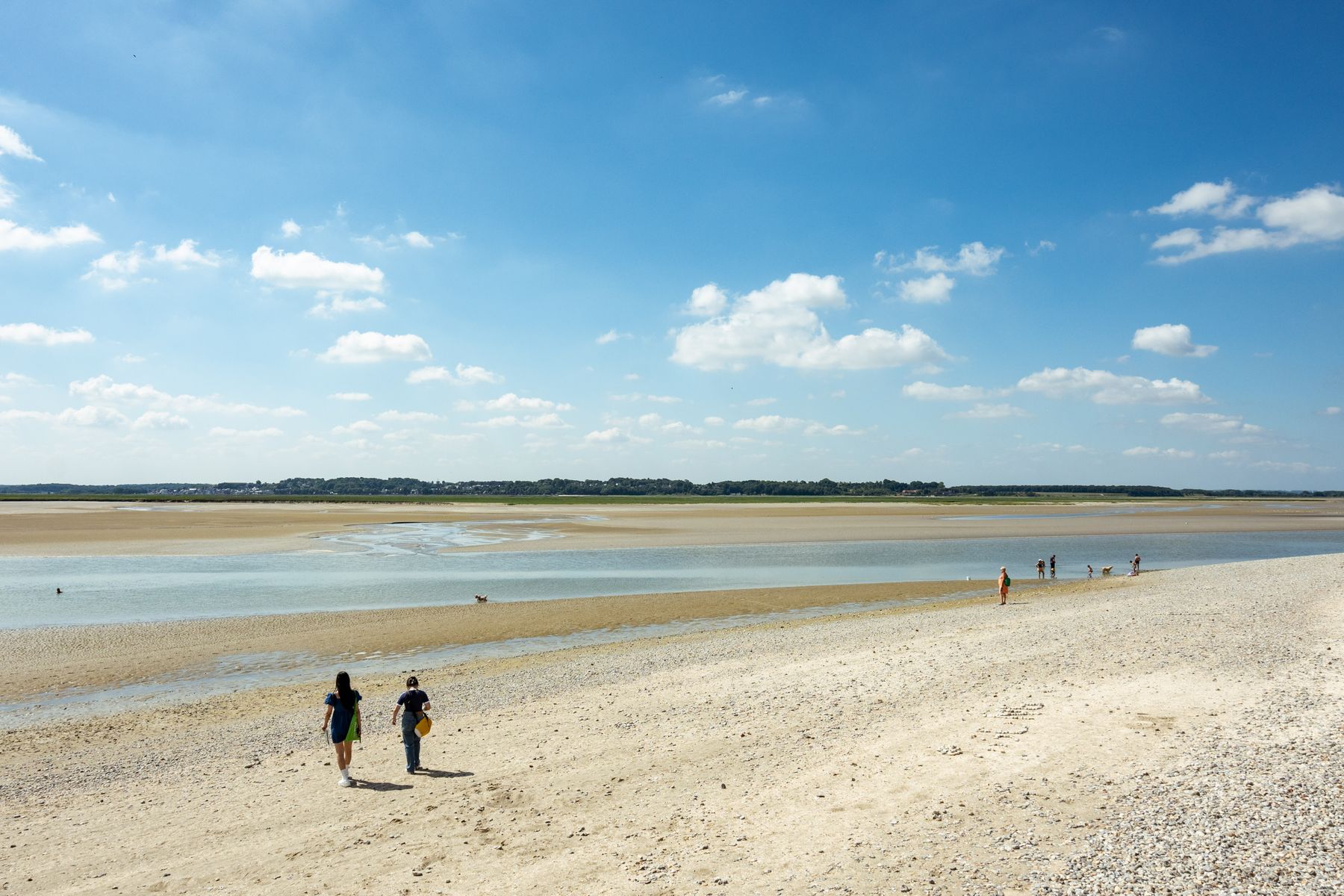 School trip to Picardy and the Somme Bay — seal watching, Marquenterre bird reserve and land sailing
