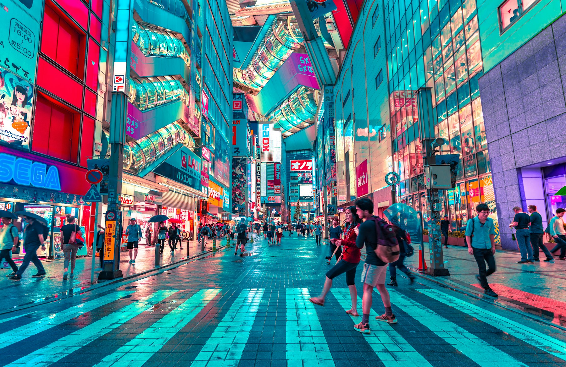 Shibuya scramble crossing at dusk during a Japanese language stay in Tokyo, Japan