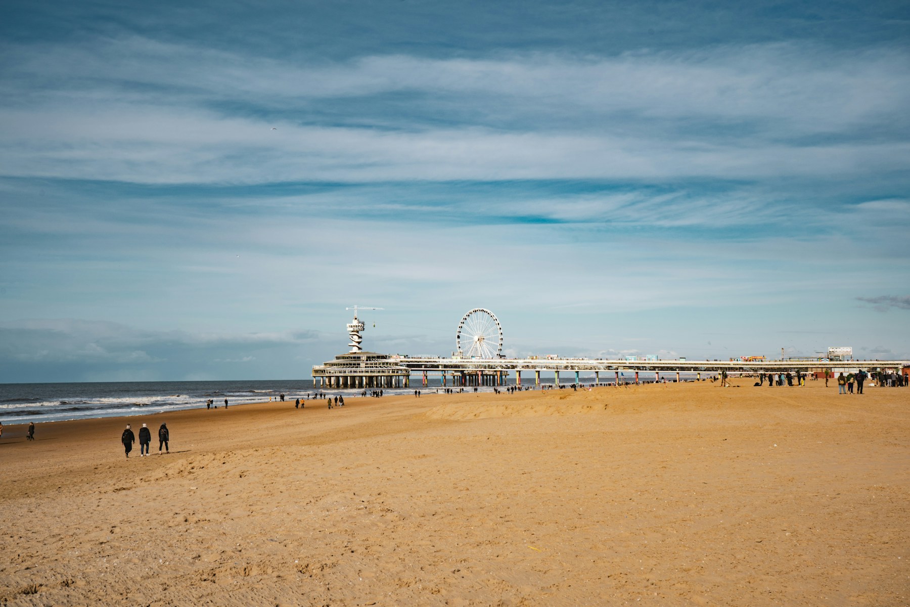 Dutch coast and Leiden school science field trip — Naturalis Biodiversity Center and North Sea coastal fieldwork